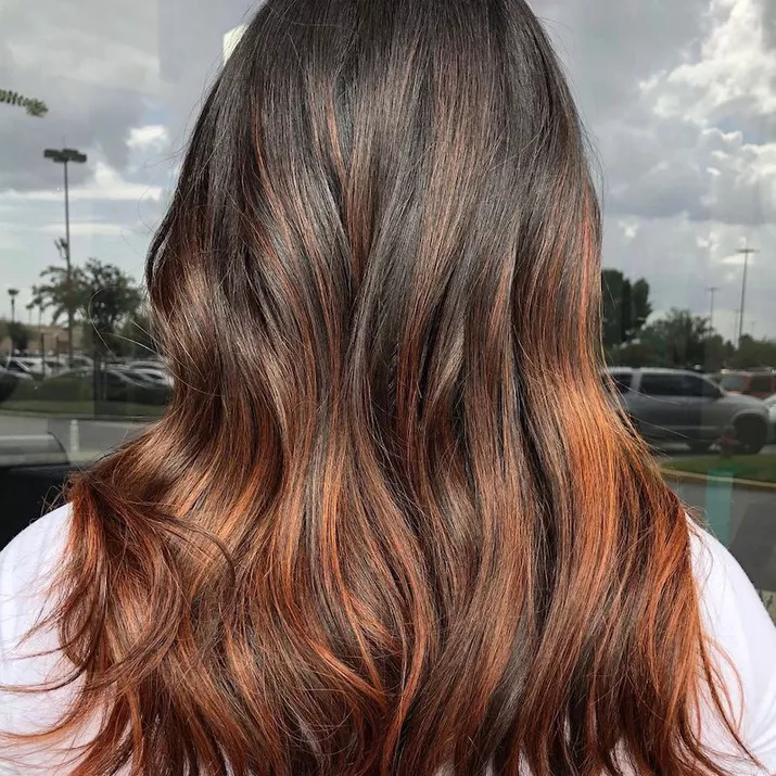 Coppery bronze highlighted hair viewed from back