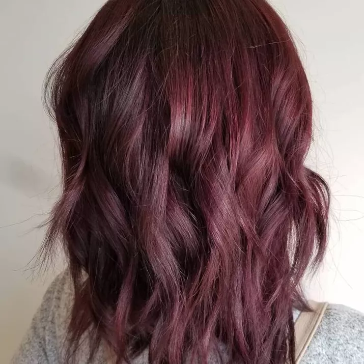 Plum Hair Color Backwards Blend