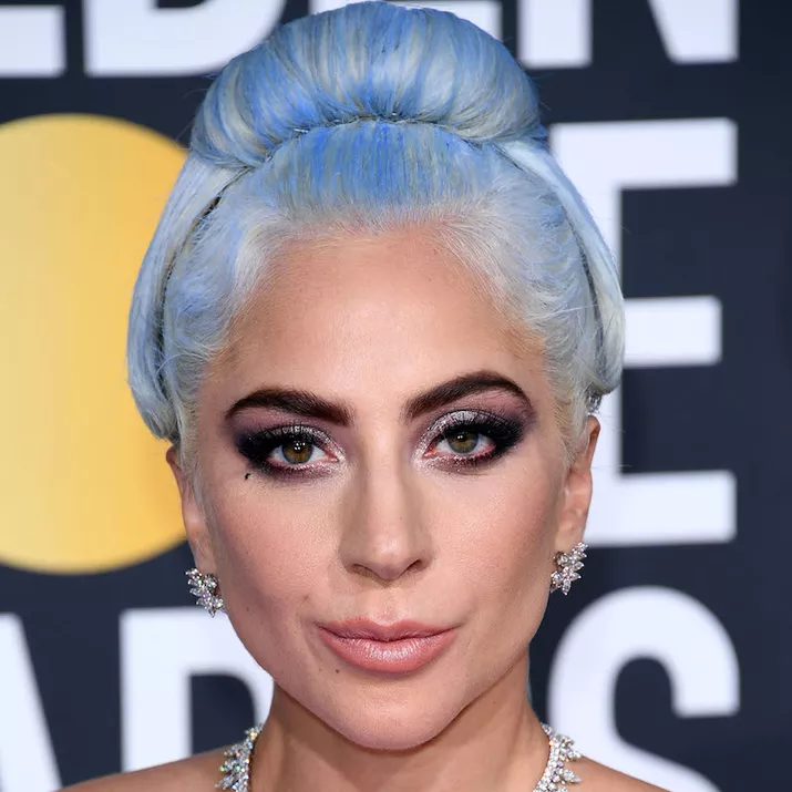 Silver-Blue Hair Updo Lady Gaga