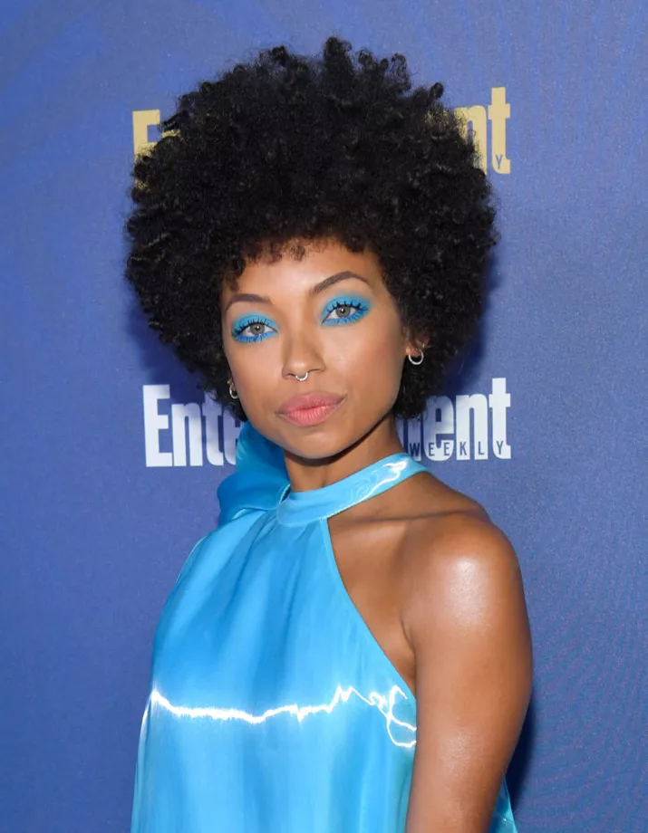 Logan Browning afro with electric blue shadow