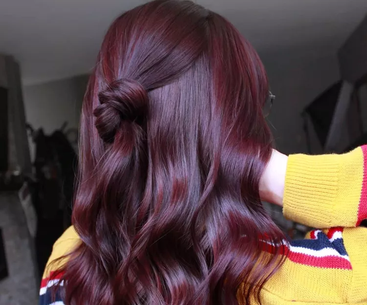 plum hair color on half bun