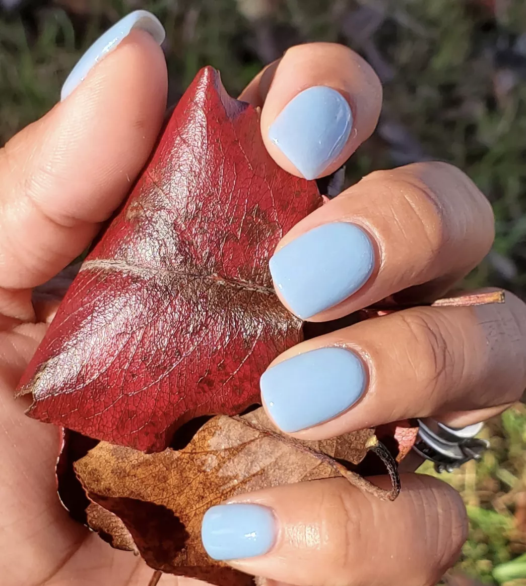Manicured nails in dip powder blue polish holding an autumn leaf