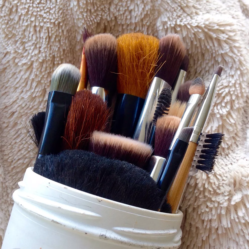 makeup brushes in bag 
