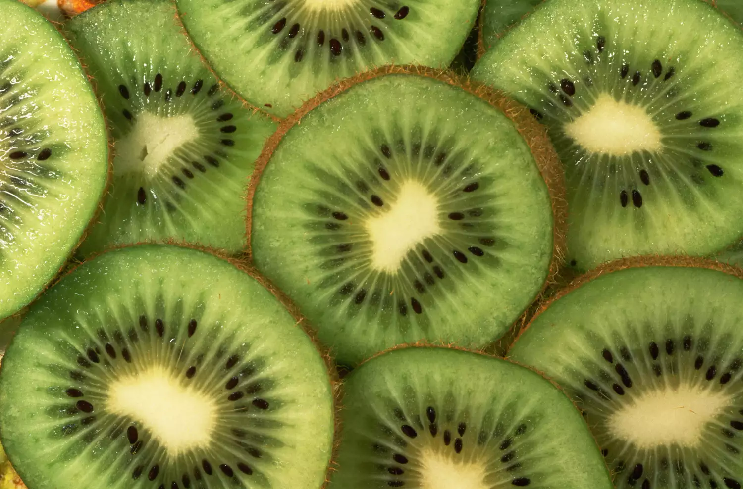 close-up of sliced kiwi fruit, layered on top of one another to fill the frame.