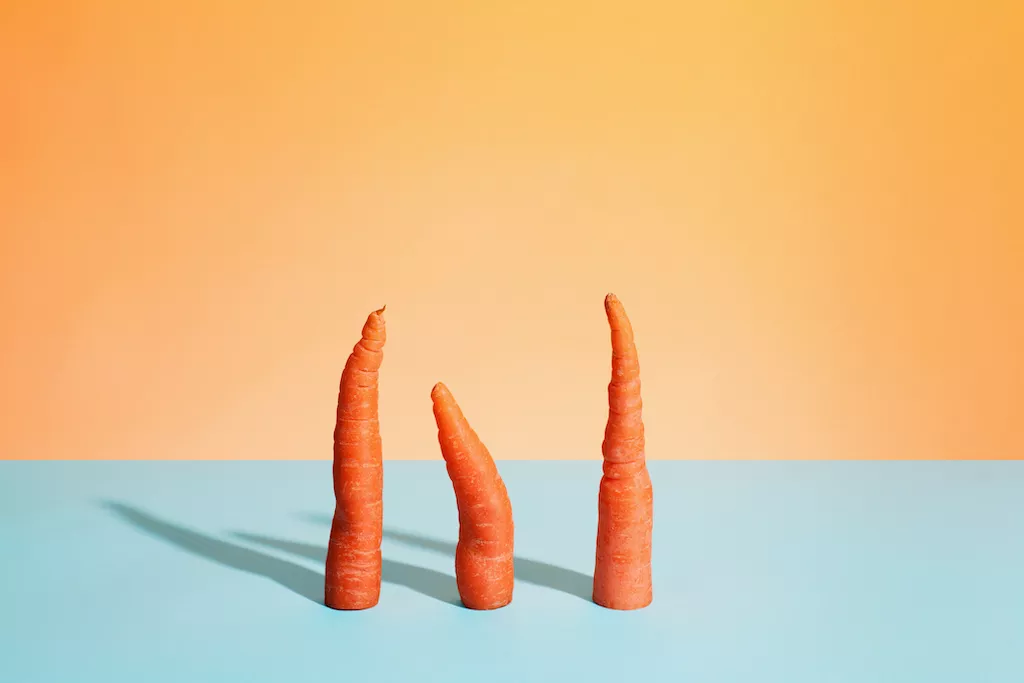 Three cut carrots standing on a flat surface