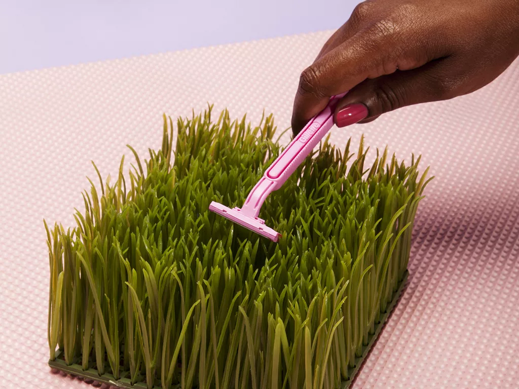 Hand taking razor to grass