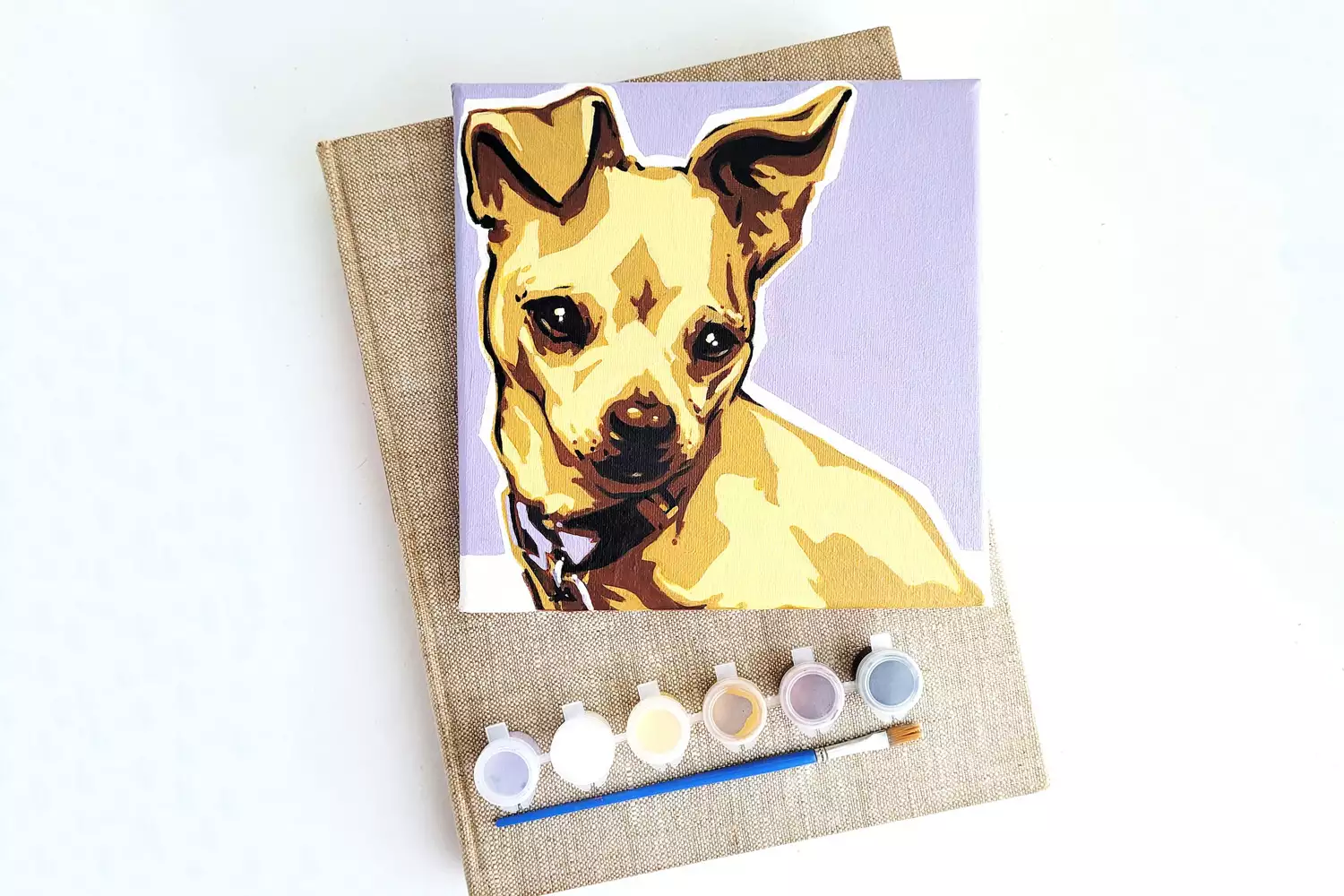 Dawn Toussaint Custom DIY Pet Paint Kit