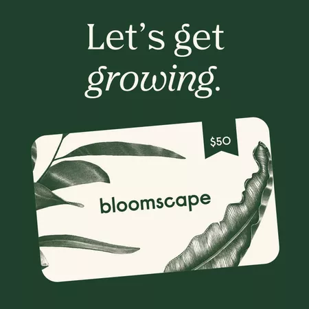 bloomscape gift card