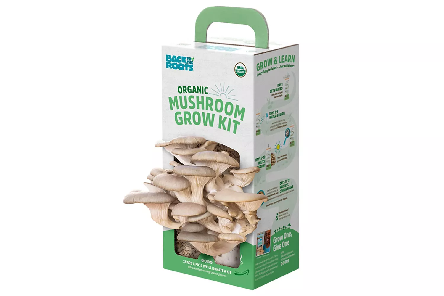 Back to the Roots Organic Oyster Mushroom Grow Kit 
