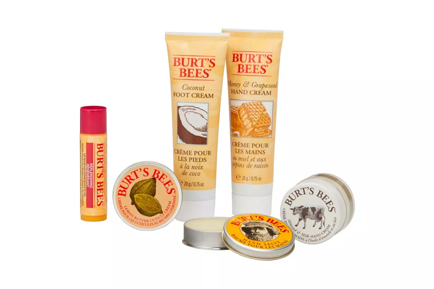 Burt&acirc;s Bees Tips and Toes Kit